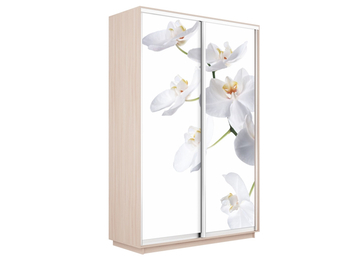 Шкаф-купе Экспресс 2-х дверный (Фото №1025 Орхидея белая)
